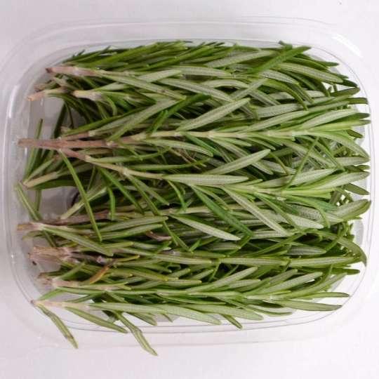 روزمارى